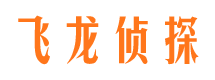 柯城侦探公司